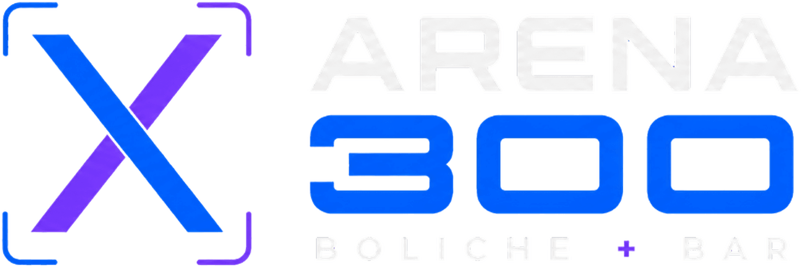 Arena 300